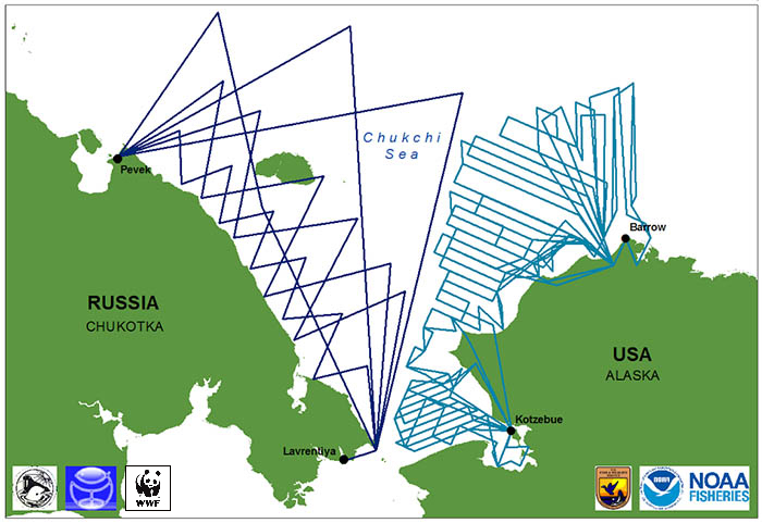 Map of planned aerial survey tracks in U.S. and Russian waters.