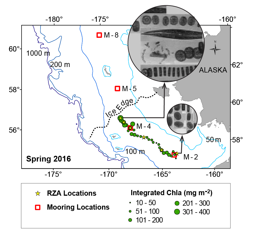 Figure with map showing RZA Locations, Mooring Locations and Integrated Chla (mg <sup>-2</sup>) in Spring 2016