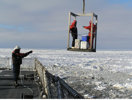 scientists lowered from the deck of the Healy