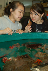 Napakiak students at TSMRI's touch tank