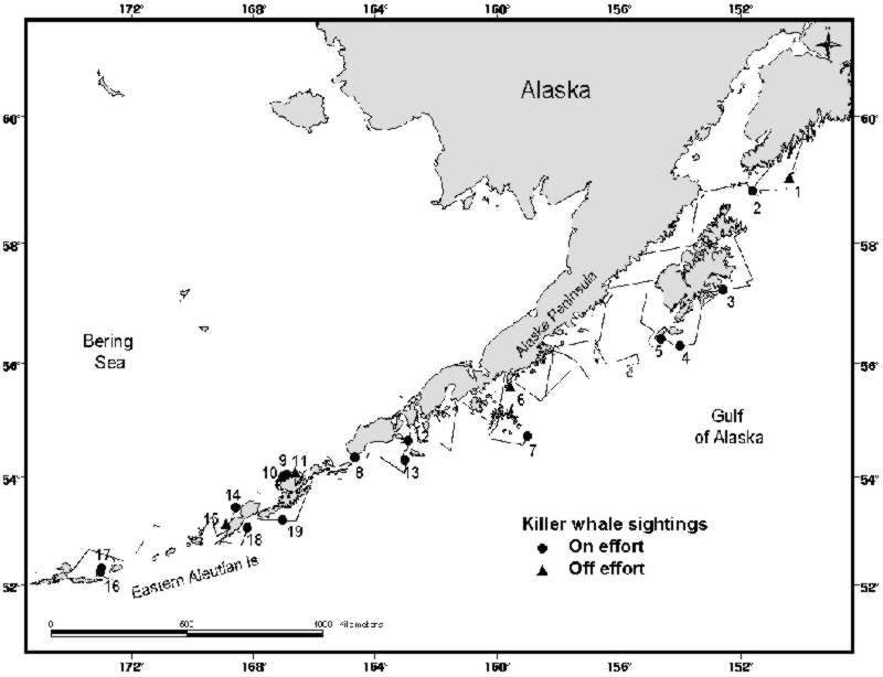 Map of killer whale sightings with encounter numbers.