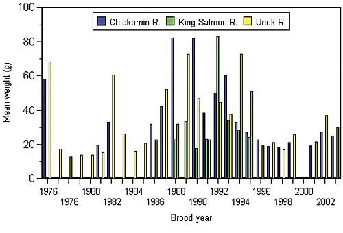 chart showing mean weight of chinook salmon released