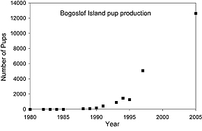 chart showing Bogoslof Island fur seal pup production
