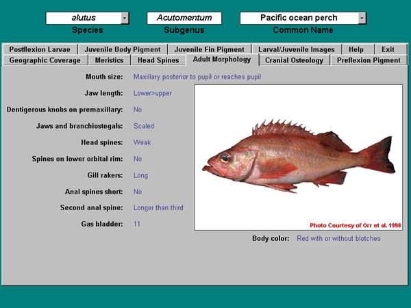 screen shot of species-by-species section of rockfish database