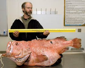 Chris Wilson with shortraker rockfish
